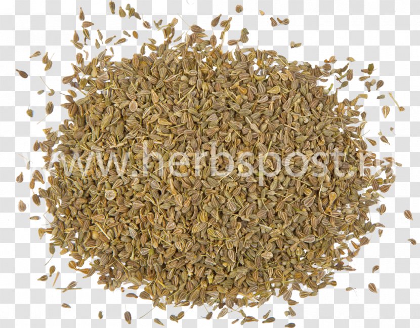 Spice Herb Star Anise Seed - Food - Anis Transparent PNG
