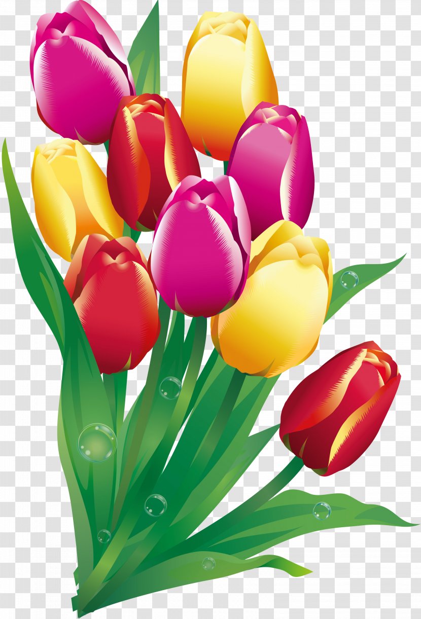 Easter Christmas Flower Clip Art - Arranging - Tulip Transparent PNG