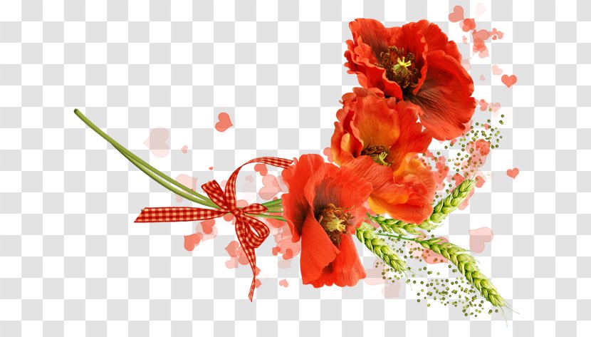 Clip Art - Cut Flowers - Poppies Martinborough Transparent PNG