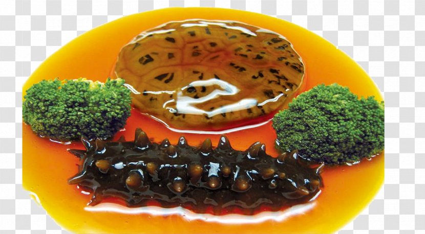 Sea Cucumber As Food Chinese Cuisine Seafood Menu Recipe - Shark Fin Transparent PNG