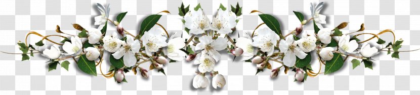 Pakistan - Love - White Flower Transparent PNG