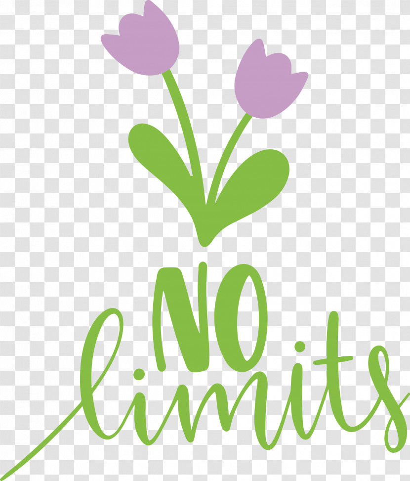 No Limits Dream Future Transparent PNG