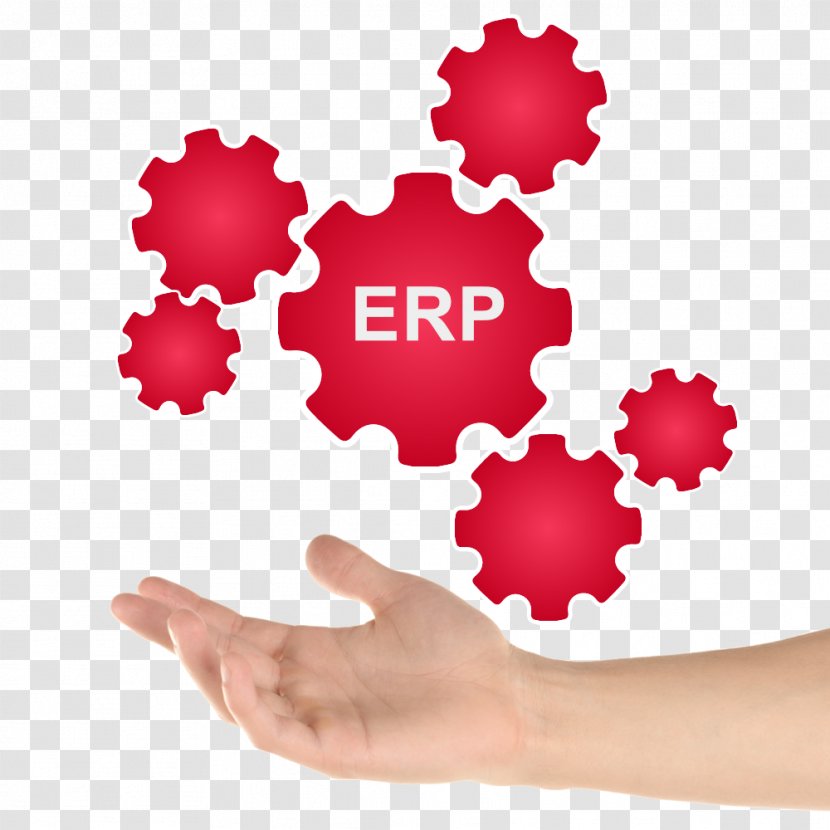 Enterprise Resource Planning Computer Software Empresa System Sistema Integrado De Gestión - Erp Transparent PNG