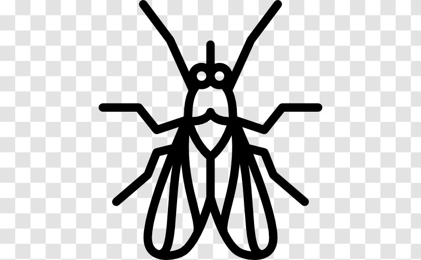 Insect Fly Mosquito Clip Art - Artwork Transparent PNG