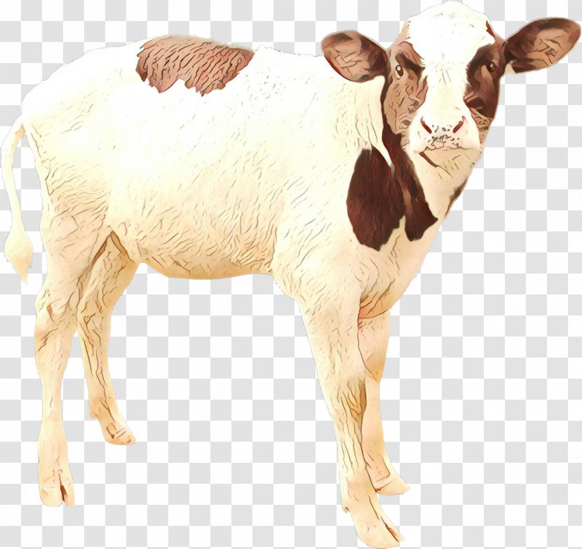 Animal Figure Livestock Fawn Bovine Dairy Cow Transparent PNG