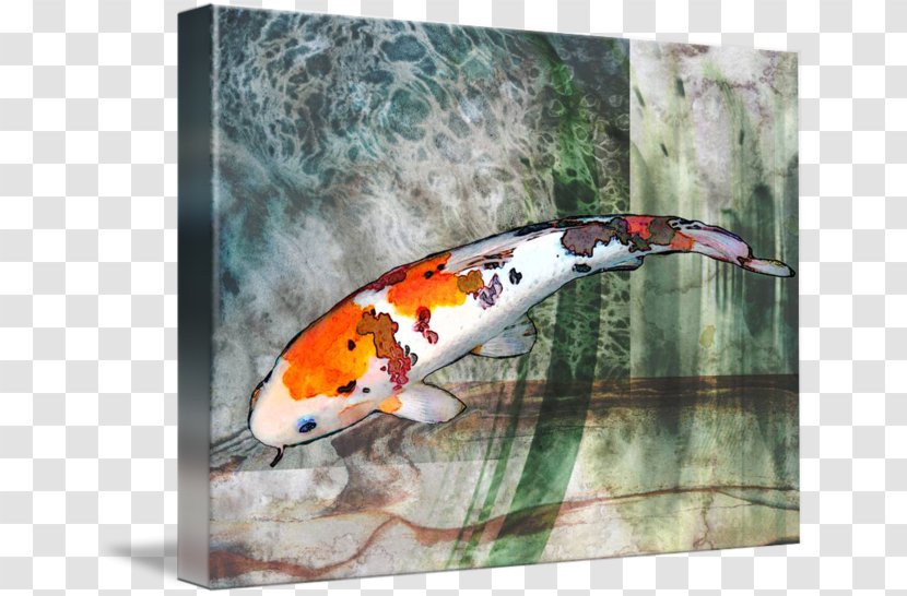 Taisho Sanshoku Fish Pond Gallery Wrap Canvas - Greeting Note Cards - Watercolored Transparent PNG