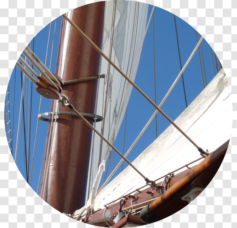 Sail Ship Architectural Engineering Naval Architecture Navy - Sailing Transparent PNG