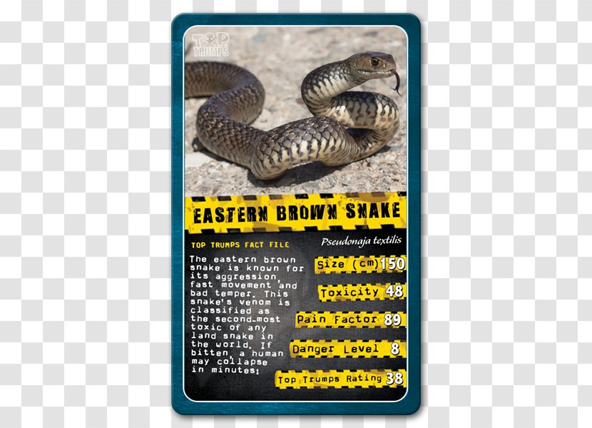 Top Trumps Snake Shark Winning Moves - Scaled Reptile Transparent PNG