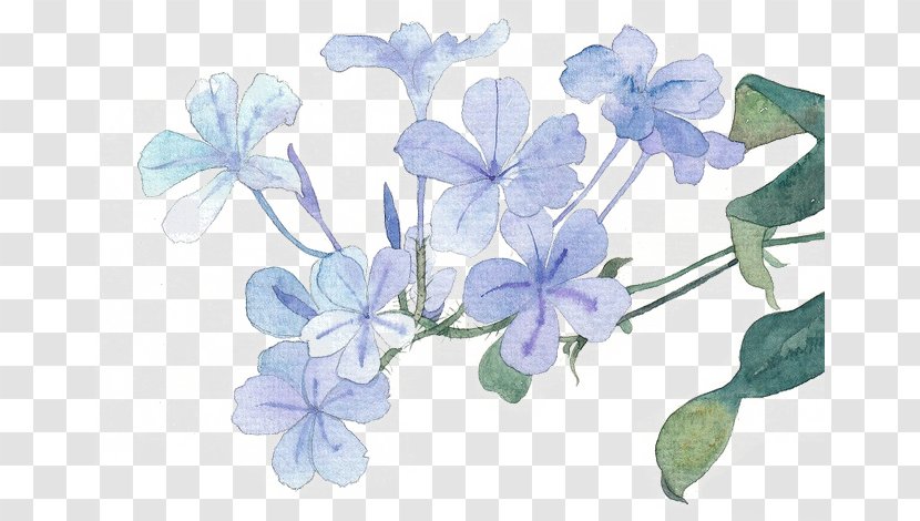 Blue Flower Icon - Hand-painted Lilac Transparent PNG