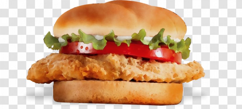 Junk Food Cartoon - Ingredient - Patty Burger King Premium Burgers Transparent PNG