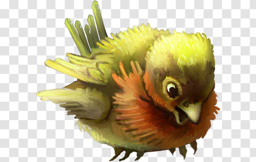 Budgerigar Bird Feather Parakeet - Parrot Transparent PNG