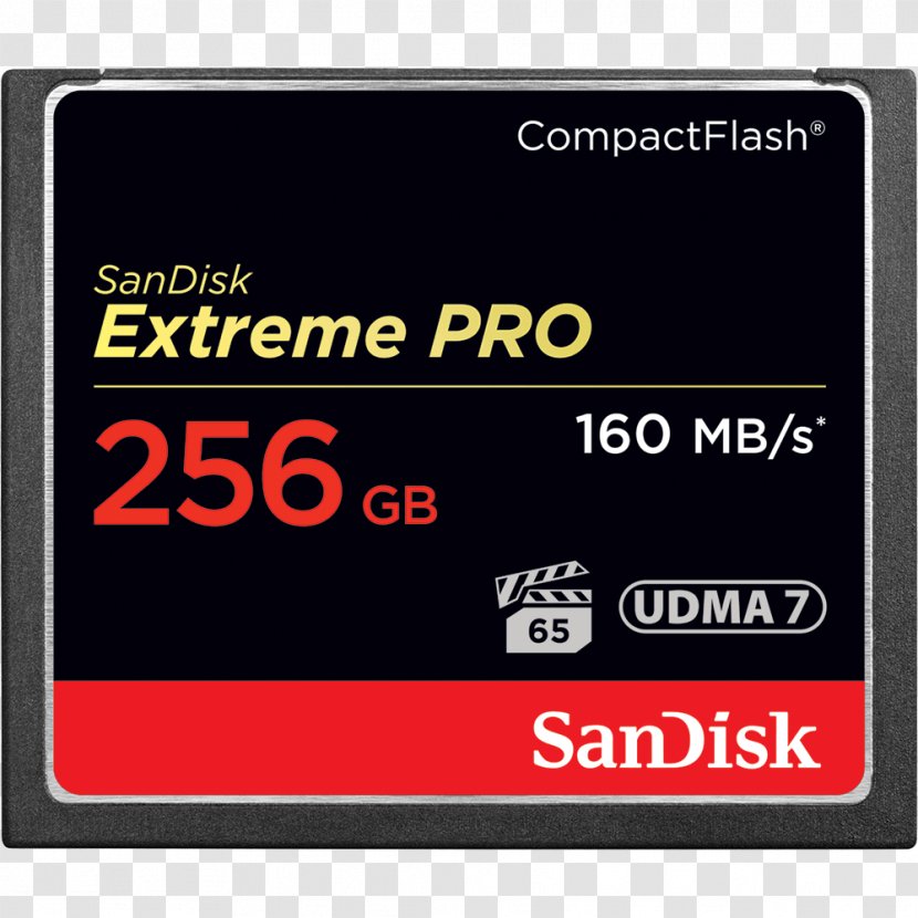 CompactFlash Flash Memory Cards SanDisk Computer Data Storage Secure Digital - Megabyte Transparent PNG