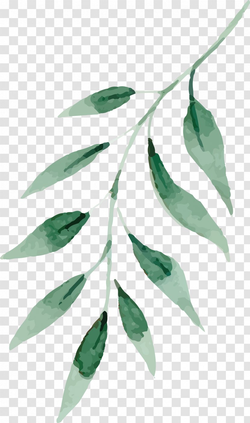 Watercolor Painting Drawing Leaf - Branch - Fresh Water, Green Leaves Transparent PNG