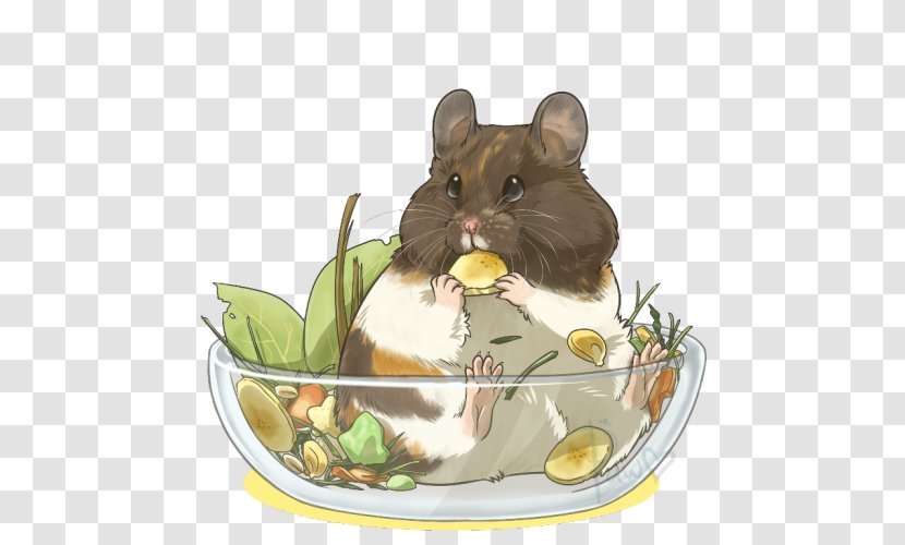 Dormouse Hamster Whiskers - Mouse Transparent PNG