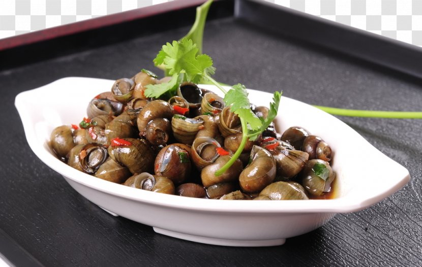 Clam Food Stir Frying Beefsteakplant Capsicum Annuum - Snail On The Plate Transparent PNG