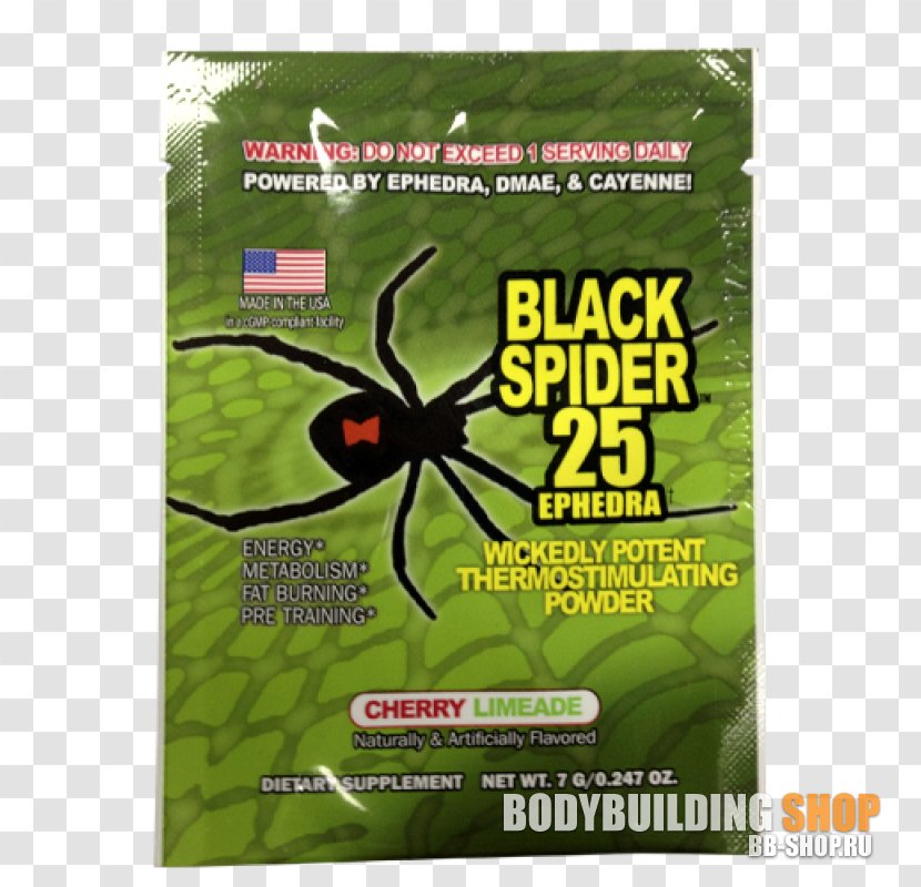 Dietary Supplement Ephedra Bodybuilding ECA Stack Weight Loss - Preworkout - Spider Transparent PNG