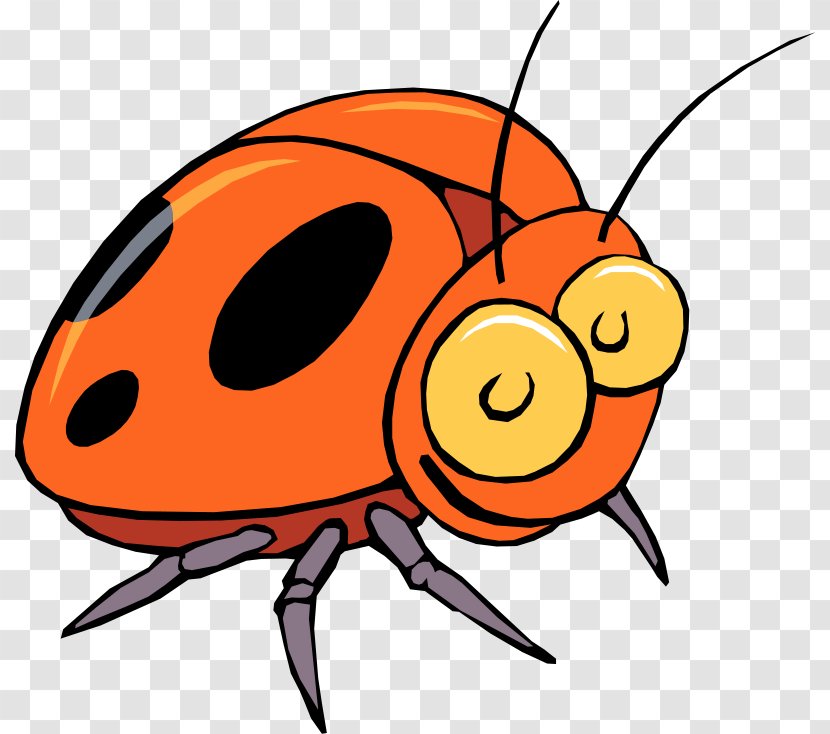 Beetle Ladybird Free Content Clip Art - Artwork - Insect Photos Transparent PNG