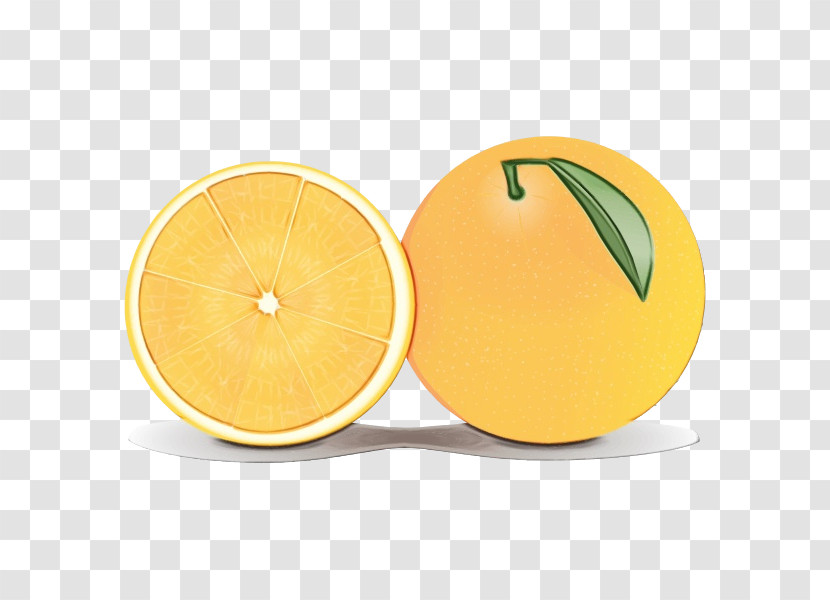 Grapefruit Lemon Fruit Tableware Transparent PNG