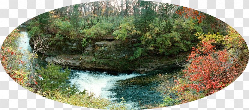 Kankakee River State Park Rock Creek Cut - County Illinois - Huck Finn Route Transparent PNG