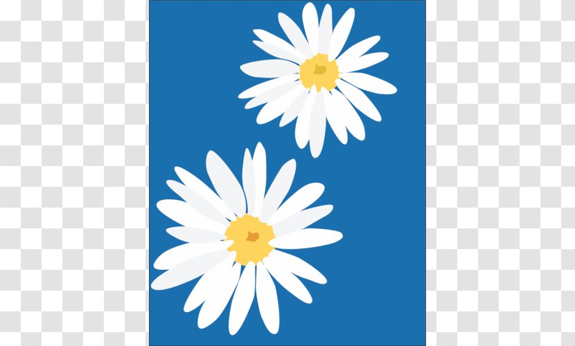 Common Daisy Flower Clip Art Transparent PNG