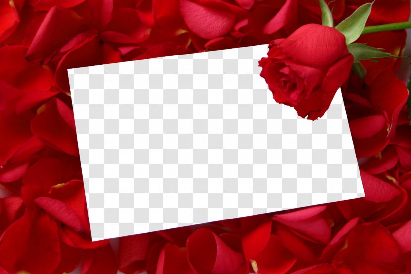 Picture Frames Rose Desktop Wallpaper Clip Art - Heart - Mothers Day Transparent PNG