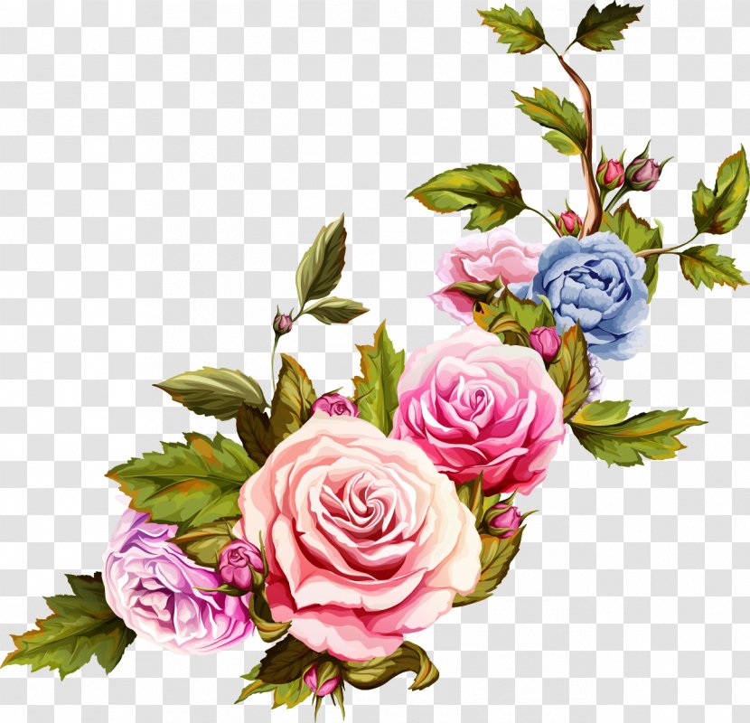 Flowers Decorated - Garden Roses - Rosa Centifolia Transparent PNG