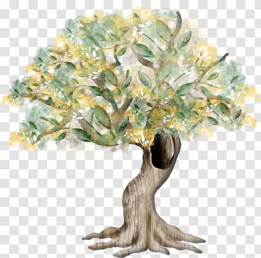 Tree Drawing Painting Clip Art - Fir-tree Transparent PNG