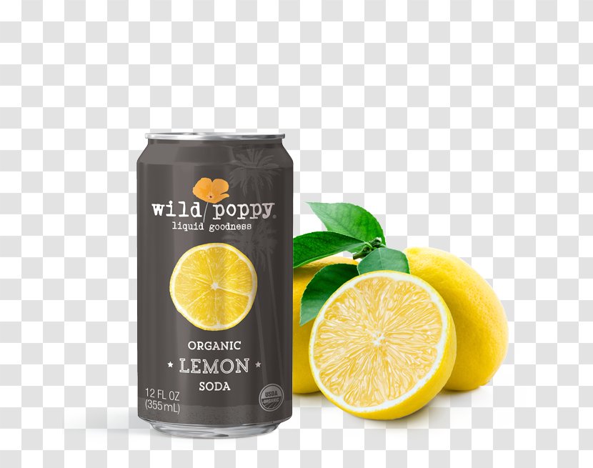 Lemon-lime Drink Juice Fizzy Drinks Lemonade - Citrus - Lemon Soda Transparent PNG