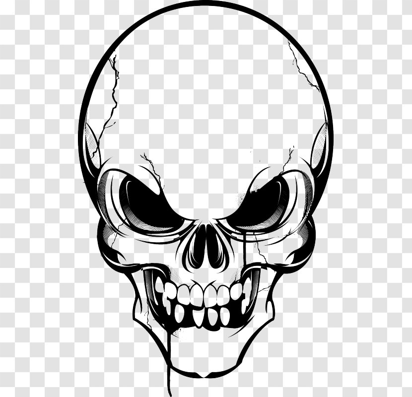 Skull Human Skeleton Clip Art - Line Transparent PNG