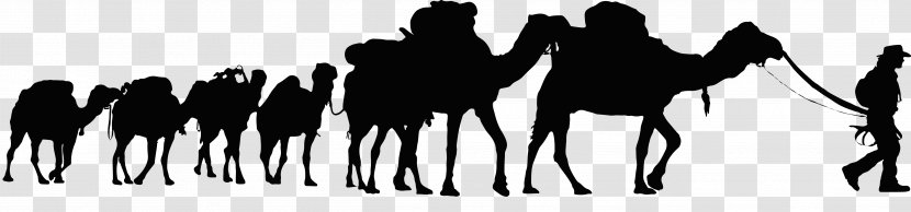 Dromedary Sahara Desert Tunisia Camel Train Clip Art Transparent PNG