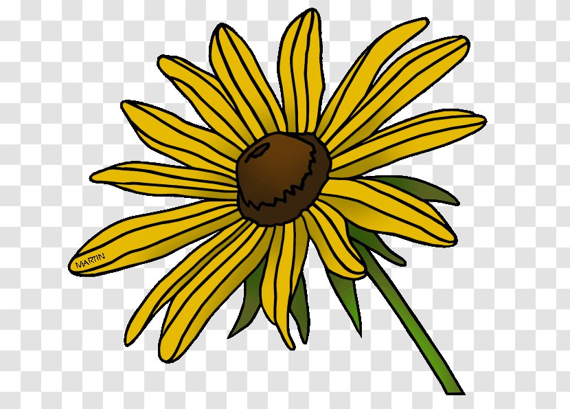 Blackeyed Susan Maryland State Flower Clip Art - Symmetry Transparent PNG