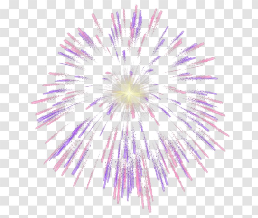 Fireworks Clip Art - Violet Transparent PNG