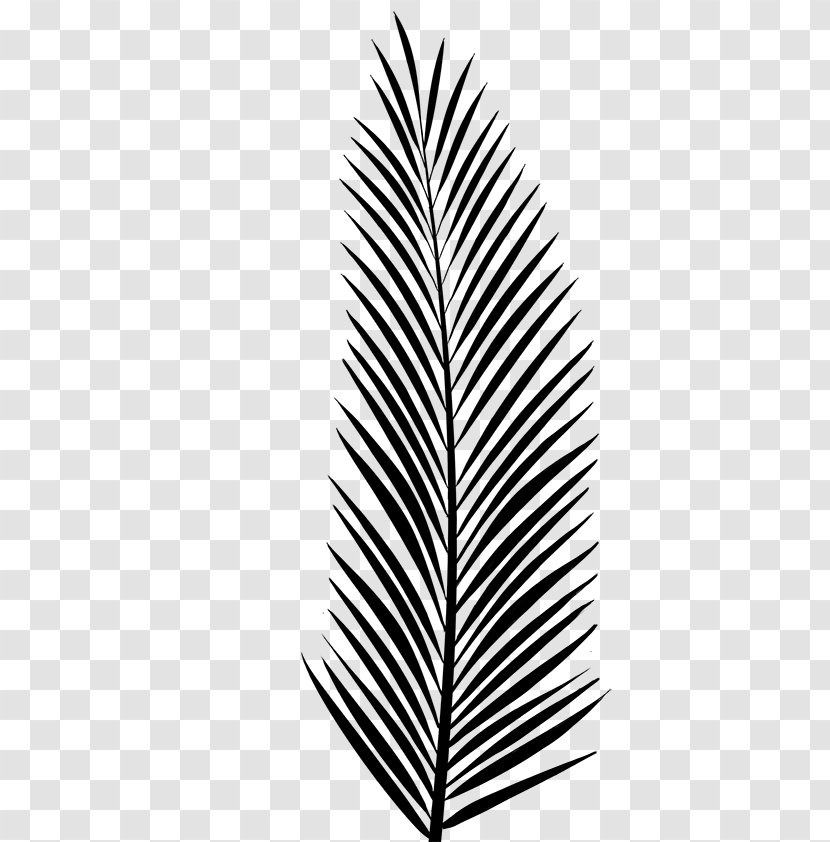 Leaf Line Tree - Plant Transparent PNG
