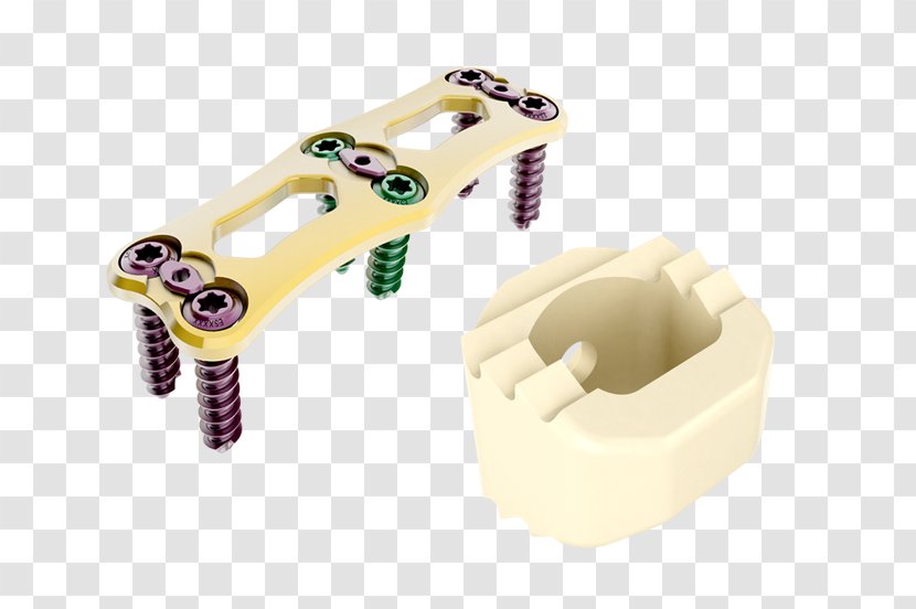 Cervical Vertebrae Implant Vertebral Column Spinal Cord Stimulator - Video - Spine Transparent PNG