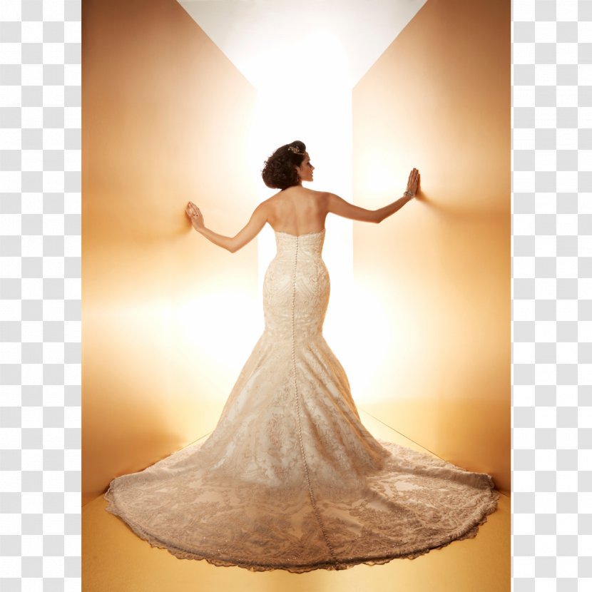 Wedding Dress Gown Shoulder Photo Shoot Transparent PNG