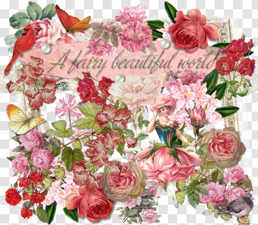 Garden Roses Cabbage Rose Cut Flowers Floral Design - Flowering Plant - Pink Fairy Transparent PNG