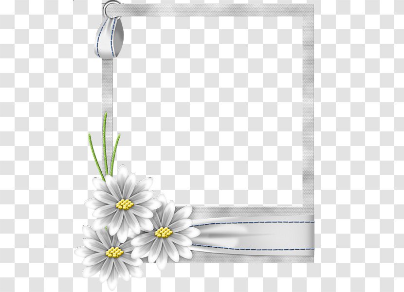 Picture Frame Flower Clip Art - Material - White Transparent Transparent PNG