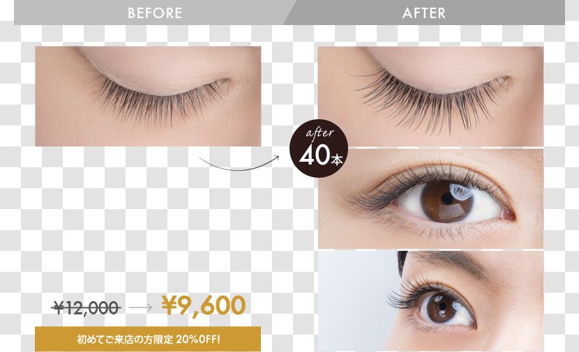 Eyelash Extensions Eye Shadow Artificial Hair Integrations プロケアアイラッシュ - Beauty Parlour Transparent PNG