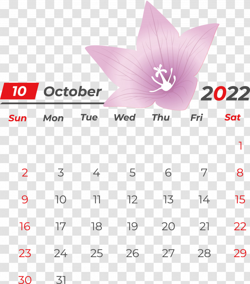 Calendar Line Font Petal Meter Transparent PNG