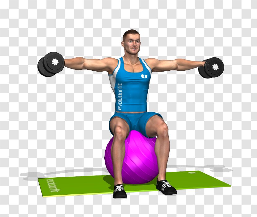 Weight Training Shoulder Exercise Balls Deltoid Muscle BodyPump - Flower - Shoulders Dumbbell Exercises Transparent PNG
