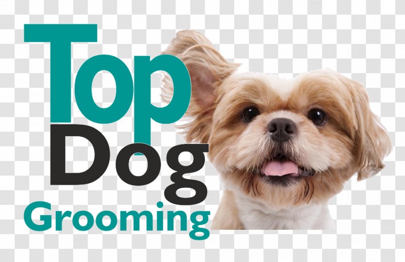 Puppy Dog Grooming Shih Tzu Havanese Pet Sitting - Service Transparent PNG