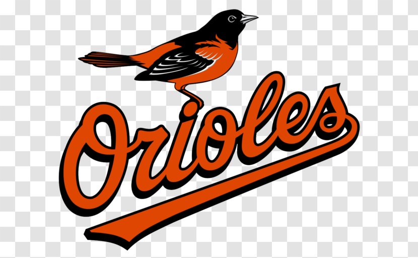 Oriole Park At Camden Yards Baltimore Orioles MLB Tampa Bay Rays Baseball Transparent PNG