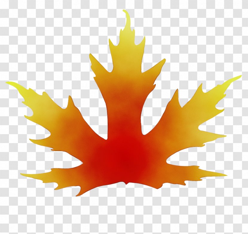 Autumn Leaf Drawing - Plane - Plant Transparent PNG