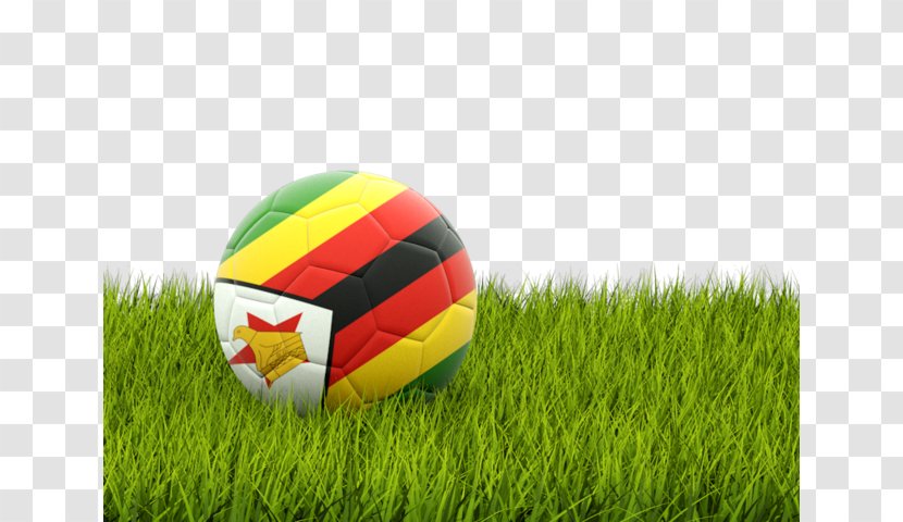 Football World Cup Flag Of Senegal Somalia - Soccer Background Grass Transparent PNG