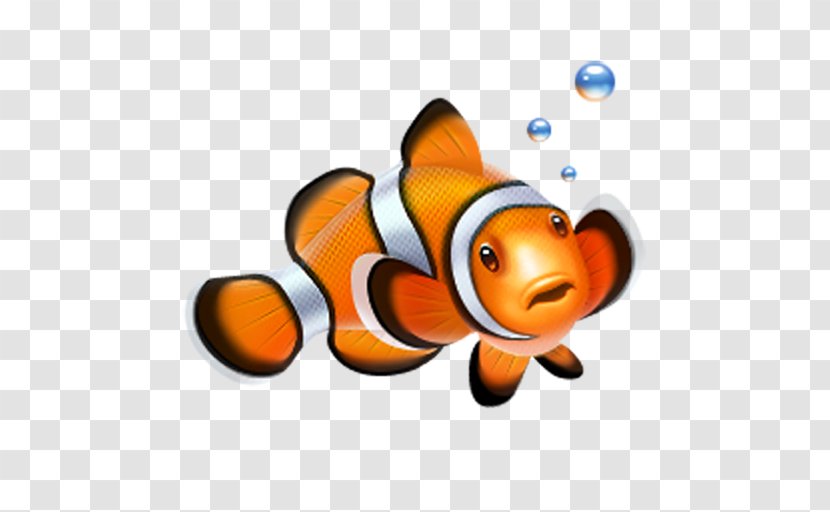 Clownfish Nemo - Orange - Fish Transparent PNG
