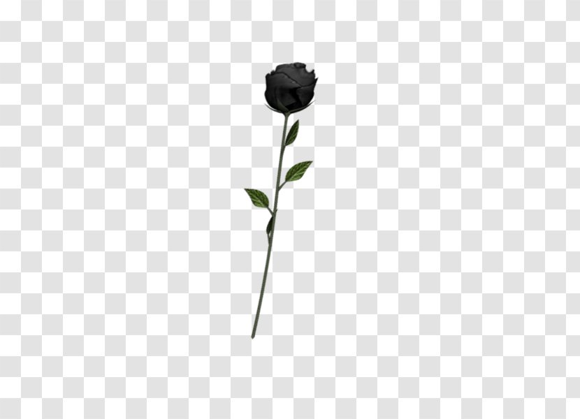 Black Rose Art Emoji - Flowering Plant - Undead Transparent PNG
