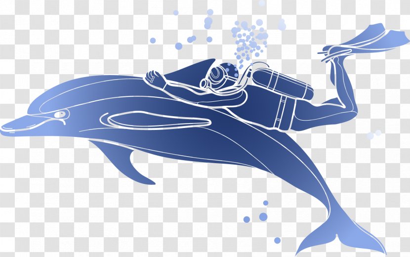 Download Illustration - Mammal - Vector Dolphin Diver Transparent PNG