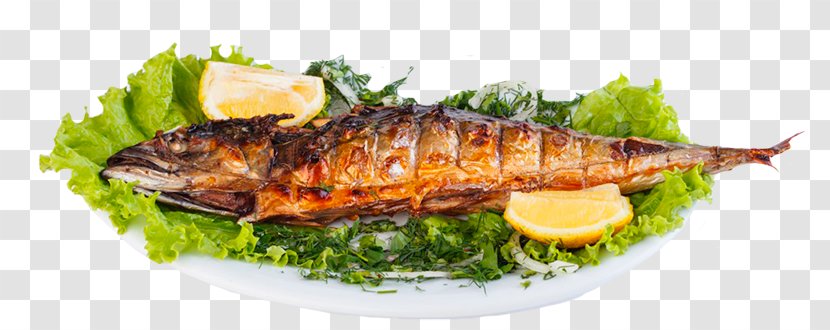 Barbecue Shashlik Chicken Magazin Gotovogo Shashlyka Mangal Transparent PNG