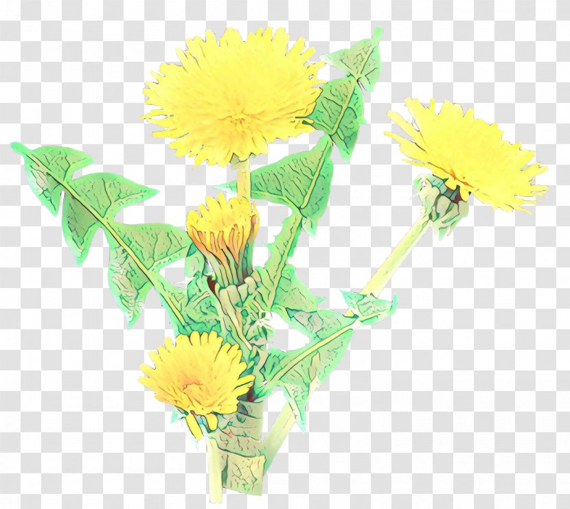 Flower Dandelion Yellow Cut Flowers Plant - Bouquet - Gerbera Transparent PNG