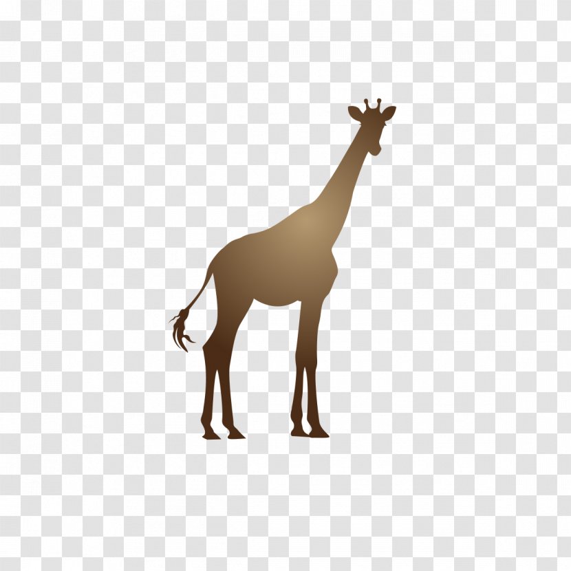 Giraffe Deer Neck Animal Pattern - Tail - Cartoon Transparent PNG